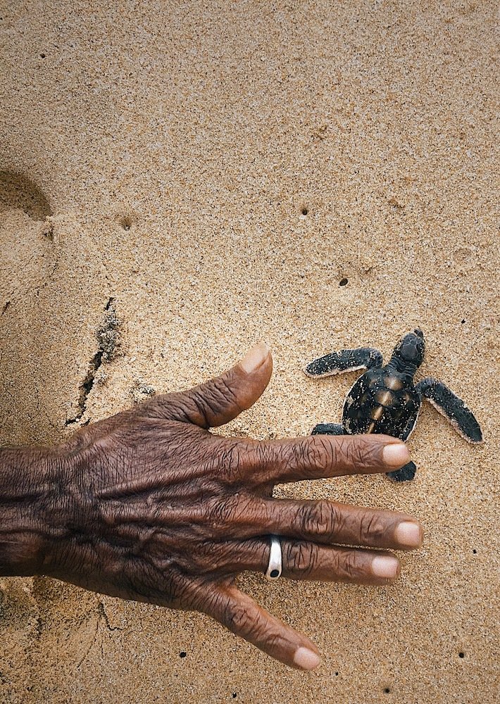 Фотография автора Александр Макаровский