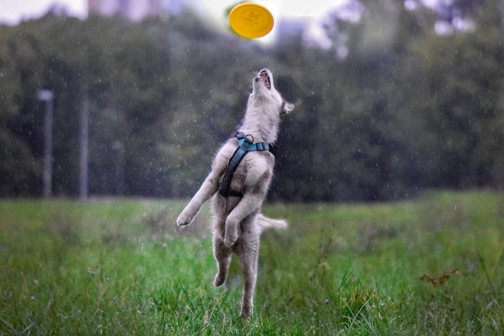 Фотография автора Мария Яропольская