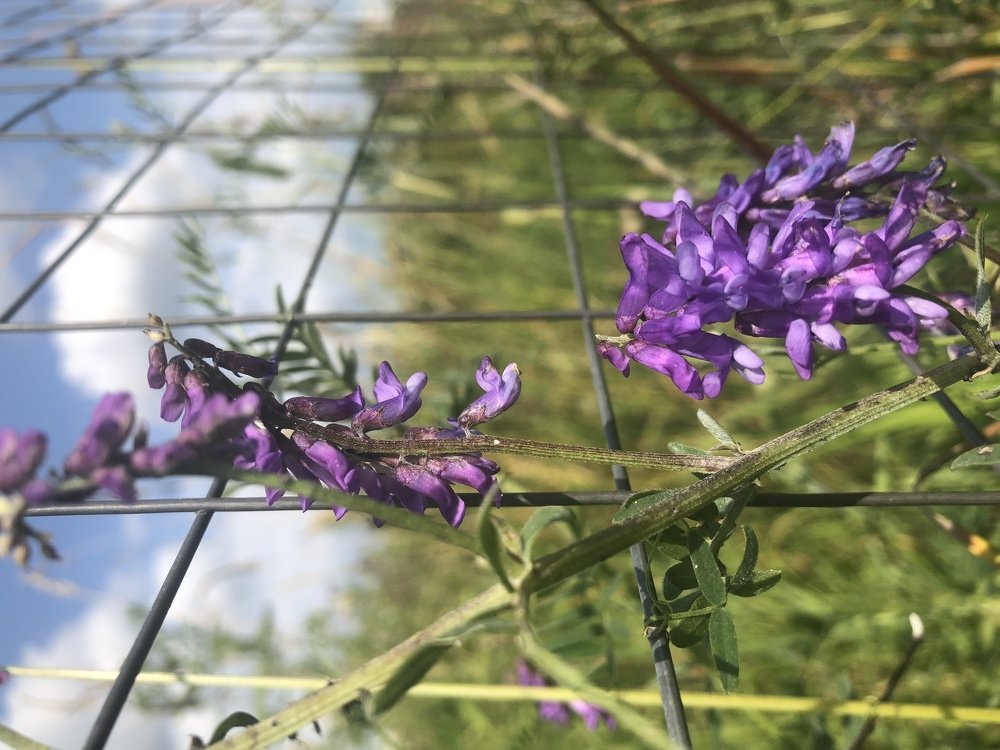 Photograph by Екатерина