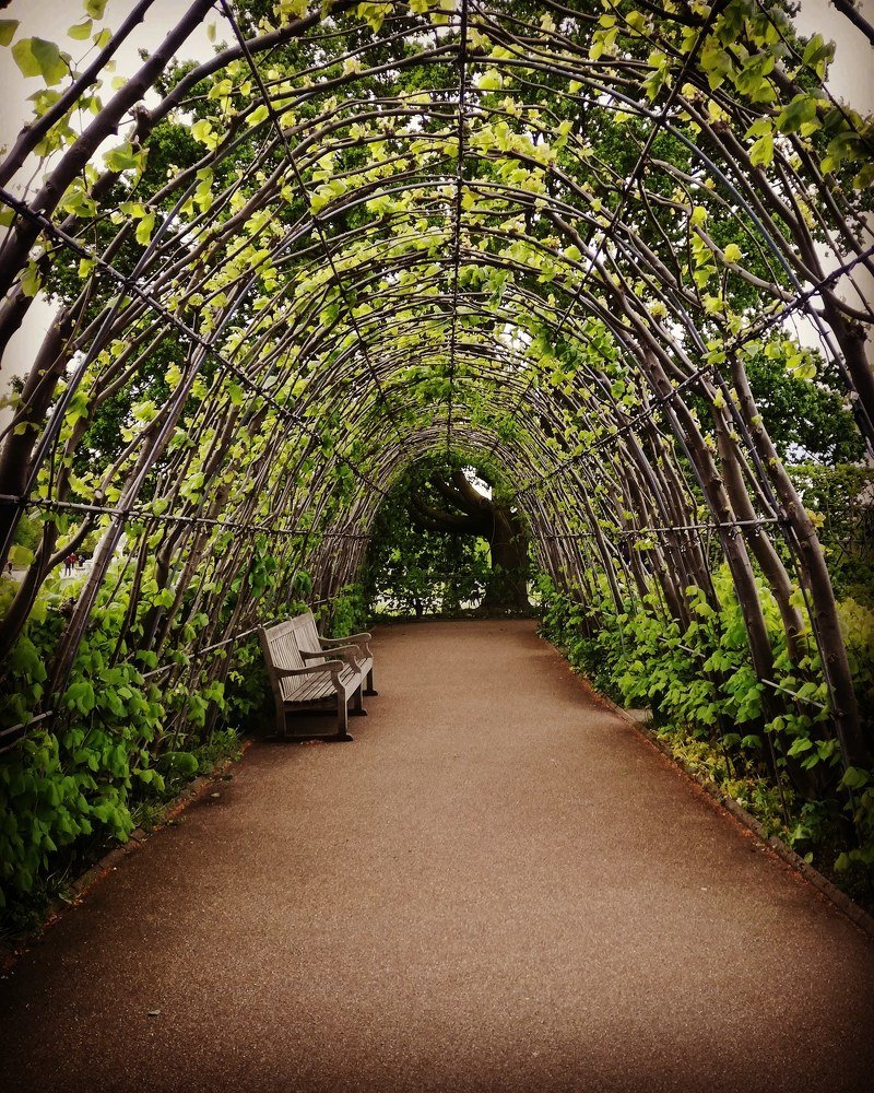 Kingston garden London