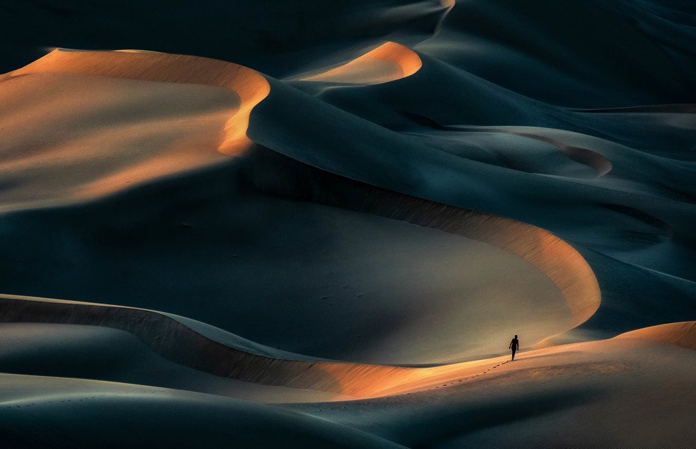 magnificence of desert