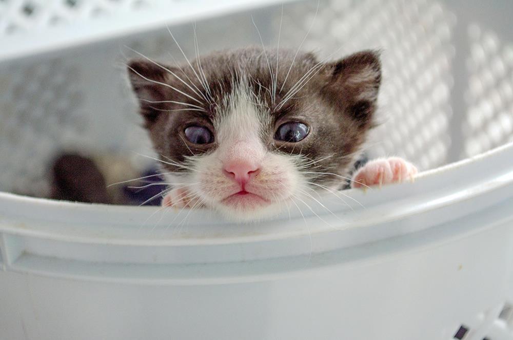 Здравствуйте!