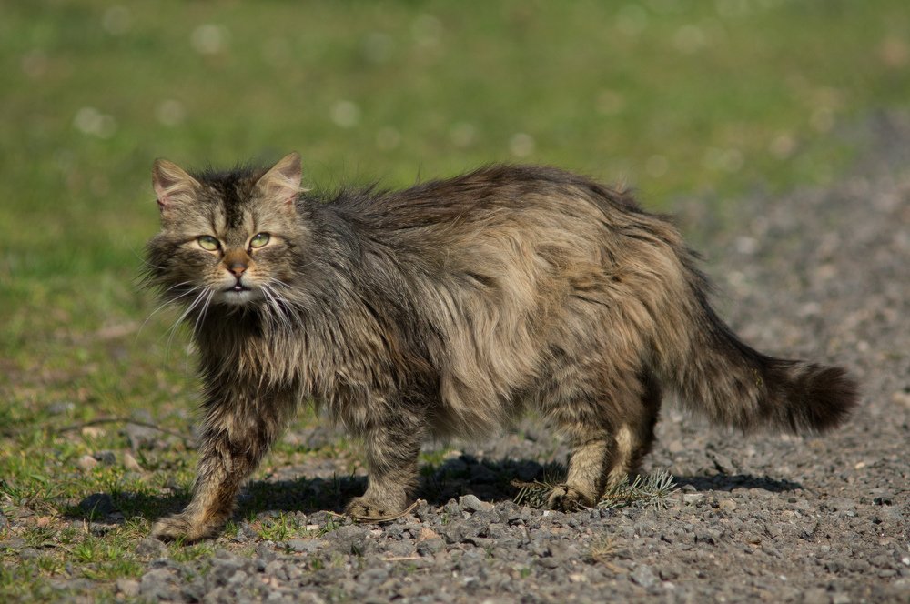 Photograph by Alexey Olkhovenko