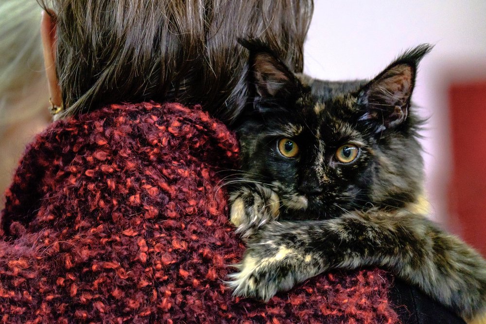 Photograph by Alexey Olkhovenko