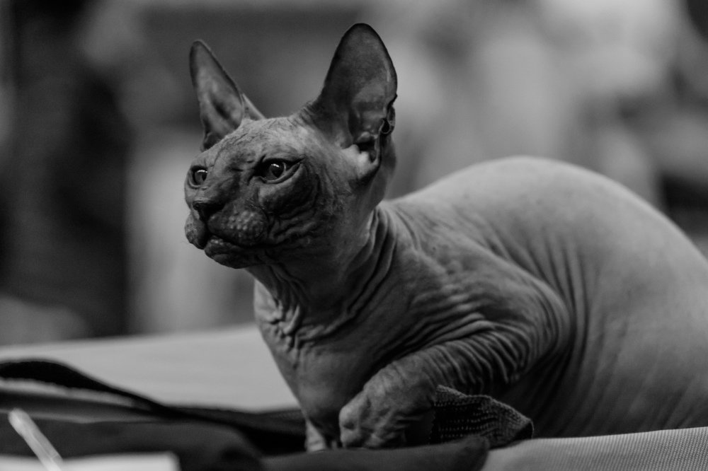 Photograph by Alexey Olkhovenko