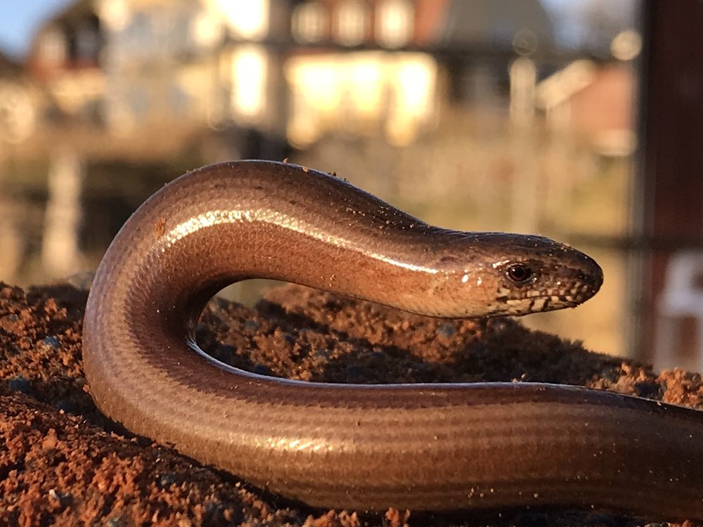 На солнышке