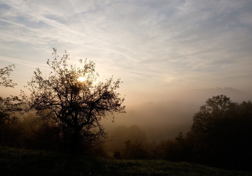 Photograph by Alexey Olkhovenko