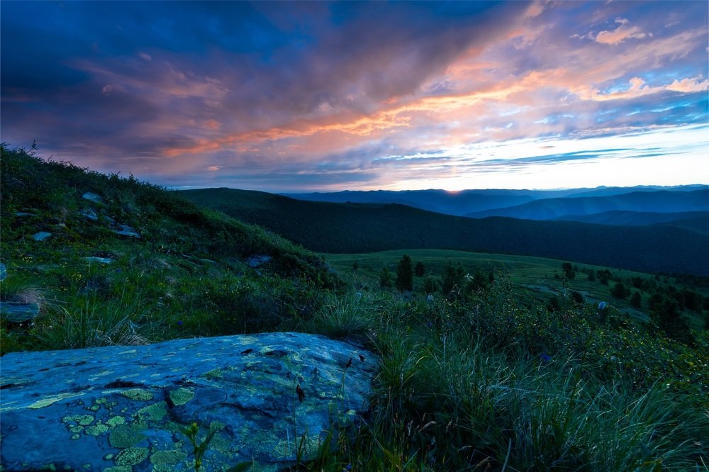 Езжу, смотрю, молчу