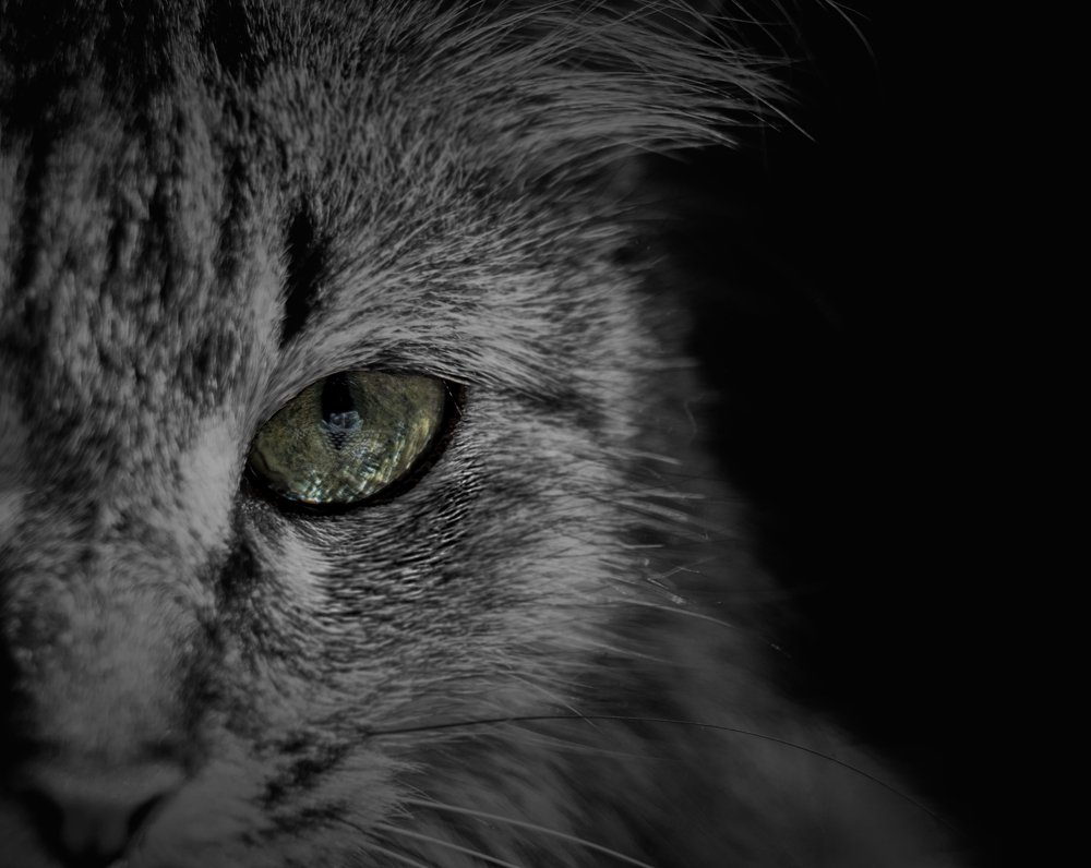 Photograph by Никита Степанов