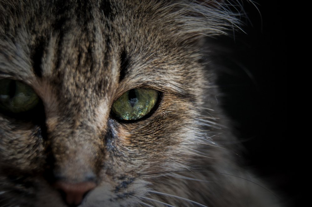 Photograph by Никита Степанов