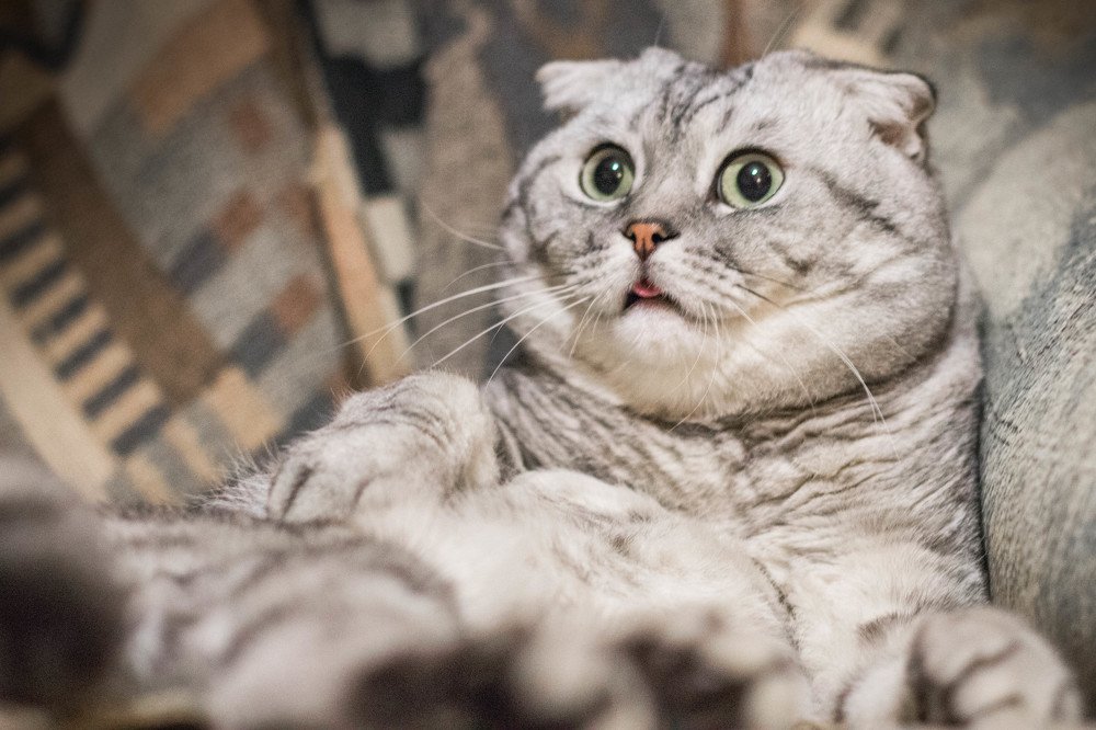 Photograph by Дмитрий Медянников