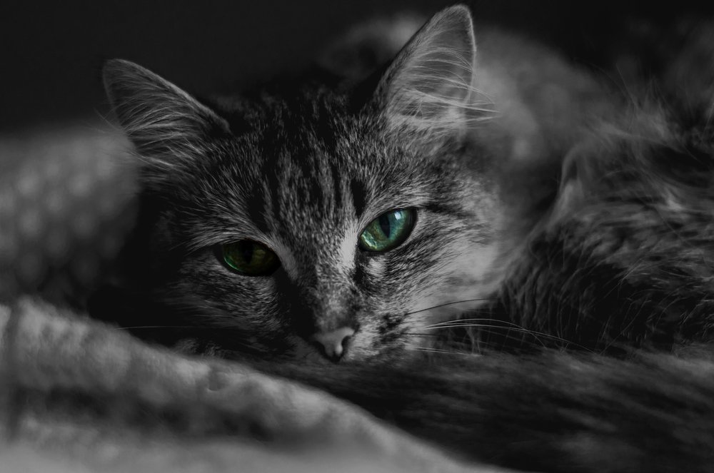 Photograph by Никита Степанов