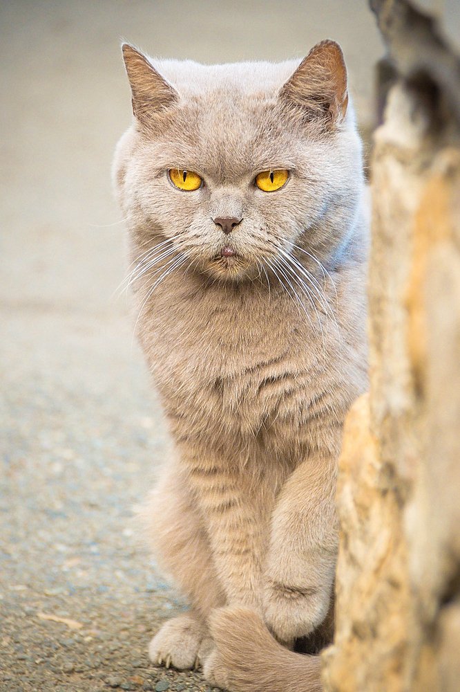 Photograph by Олеся