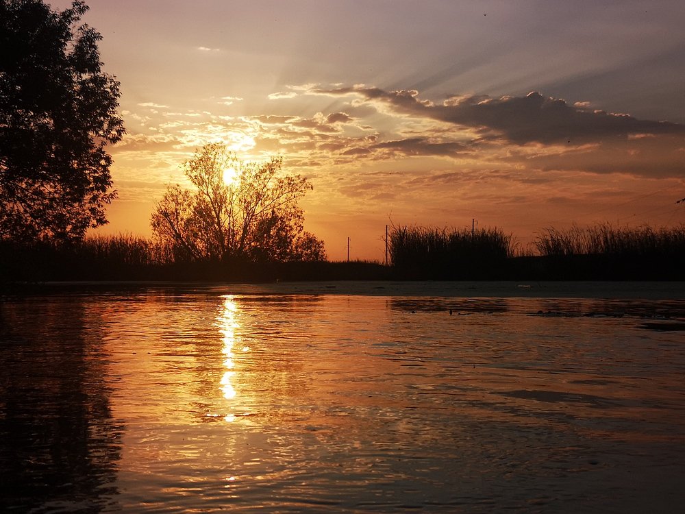 Photograph by Наталия Natius Ткачёва