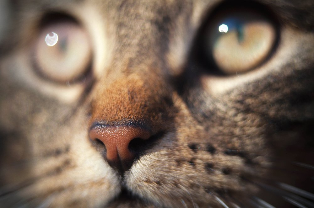 Photograph by Олеся