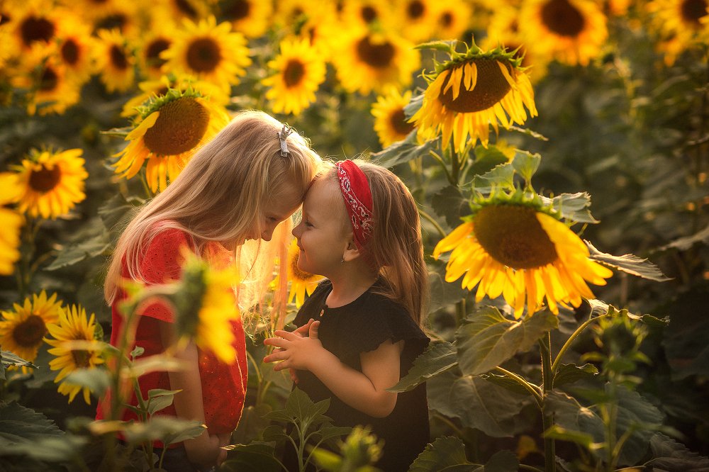 Маленькие сестрички