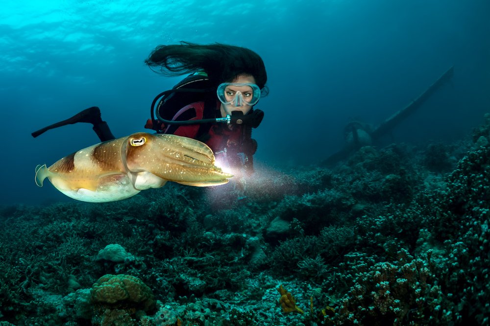 Девушка, каракатица, самолет...