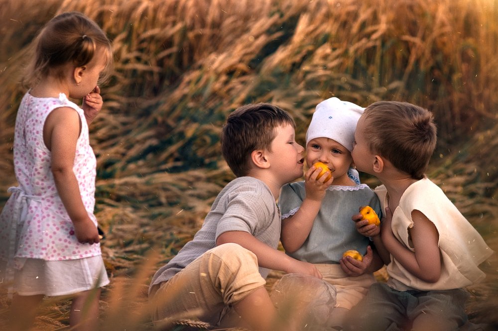 Хлебные просторы