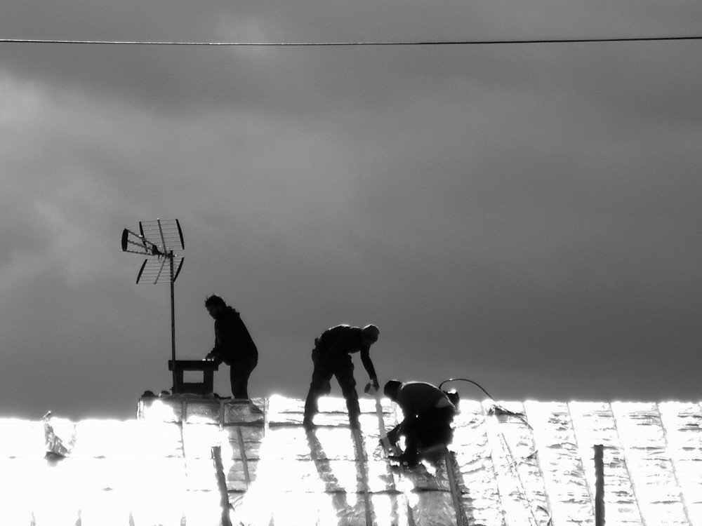 On the Roof of the Word