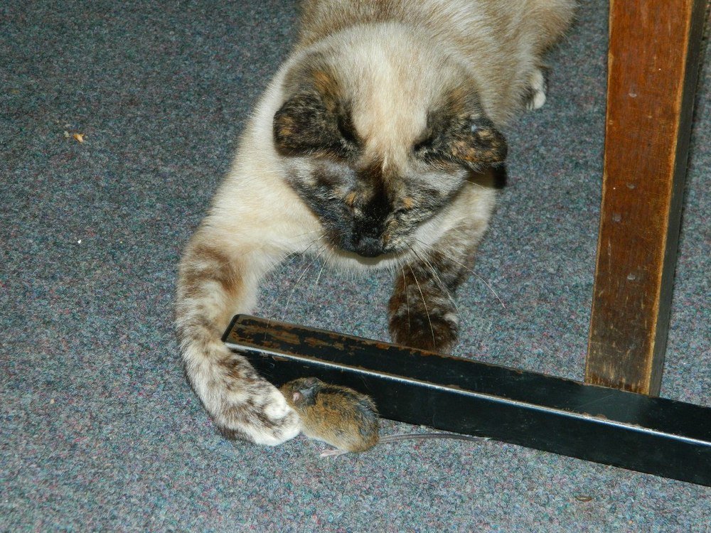 Photograph by Юлия Зеленева