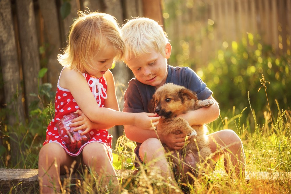 Лето в деревне