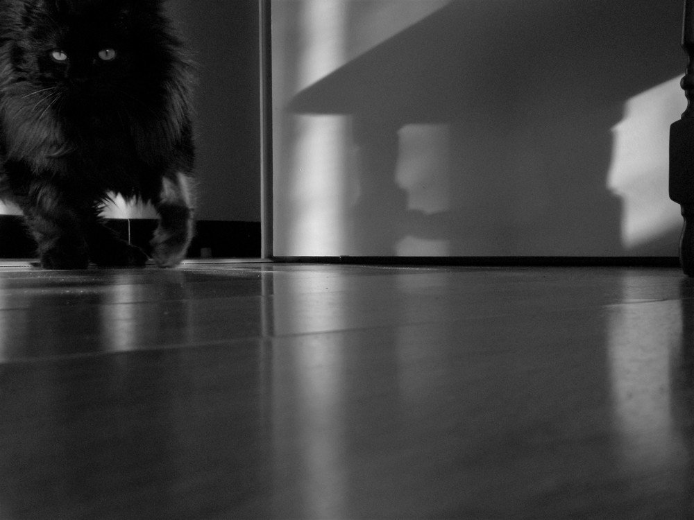 When It is coming...