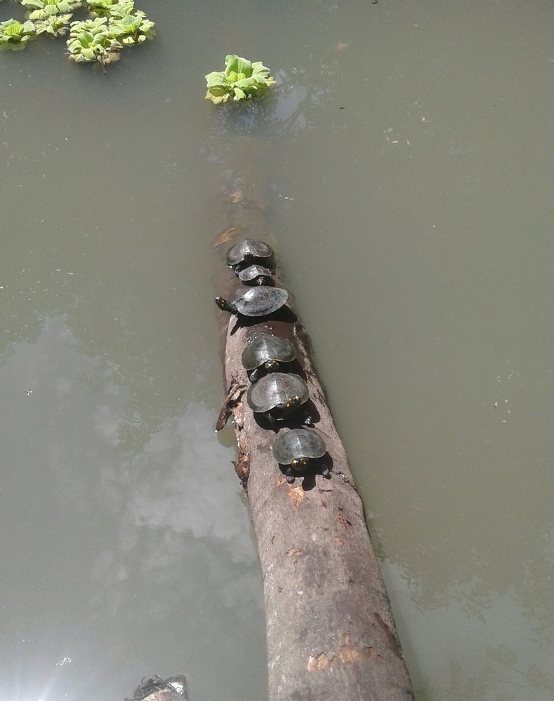 The beauty of nature with the peremets