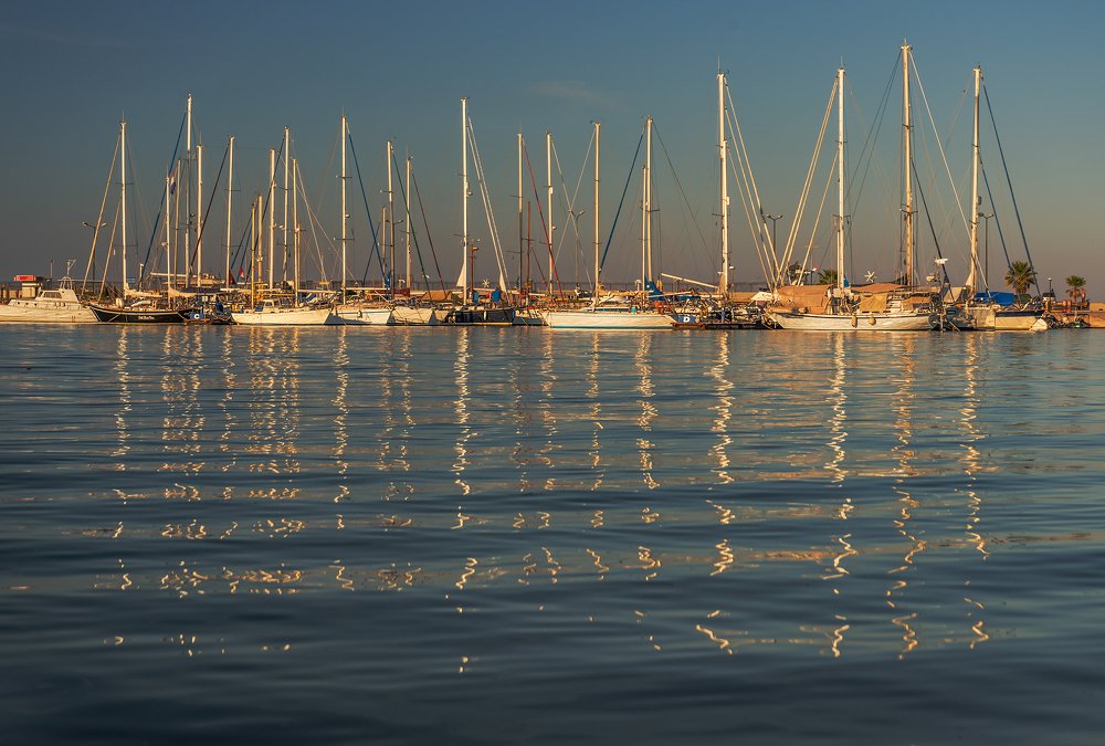 В вечернем свете