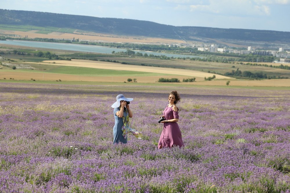 Фотографы в лаванде