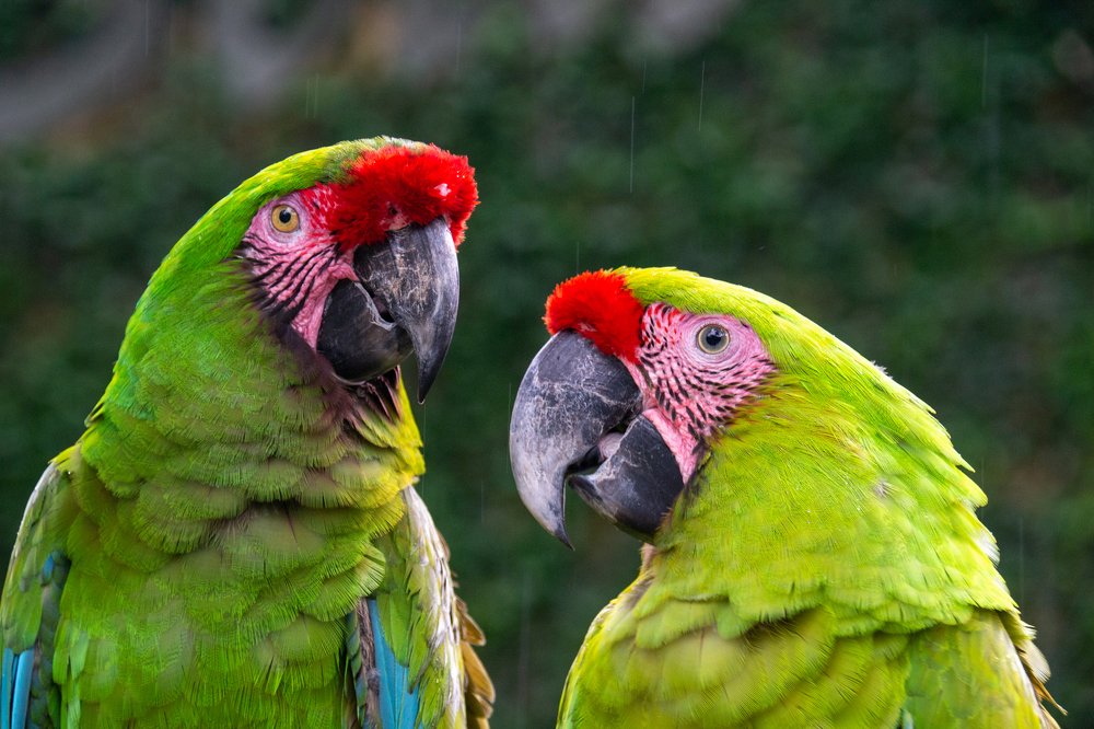 Photograph by Ксения Рыбка