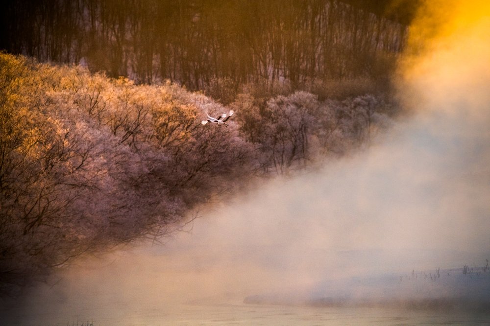 Glowing misty morning