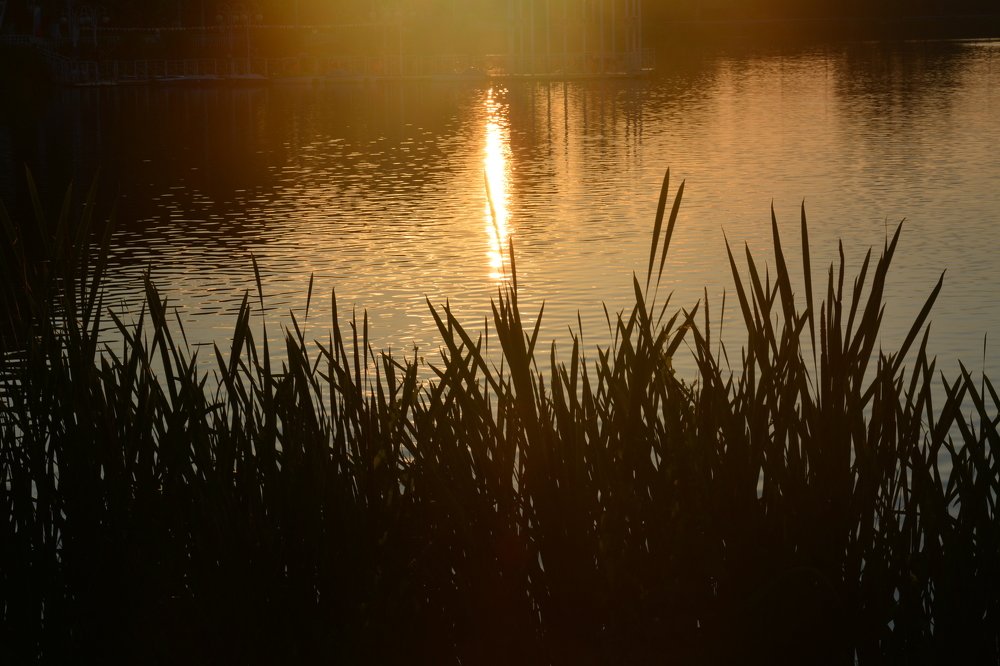 Photograph by Анатолий Зеленский