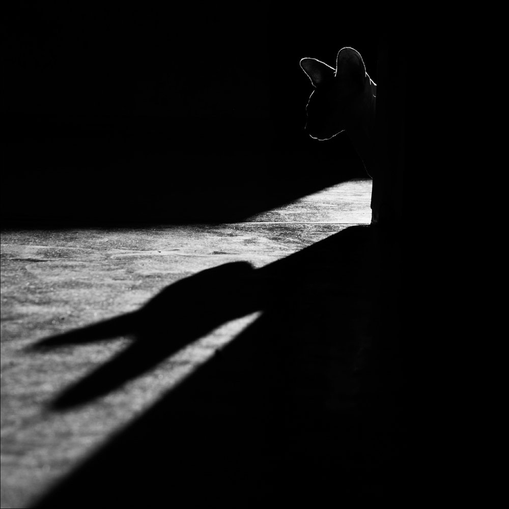 Чёрный квадрат