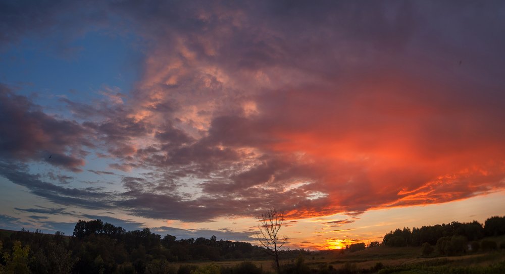 после дождя