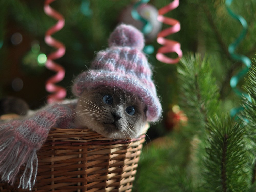 Снегурочку вызывали?