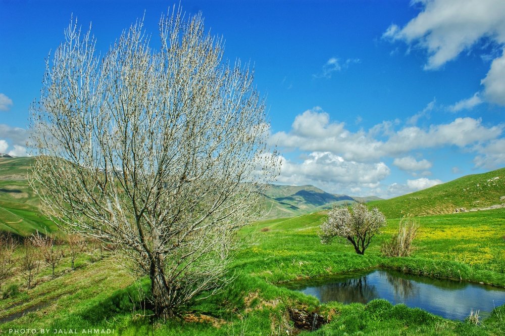 عکس خوب در تلفن