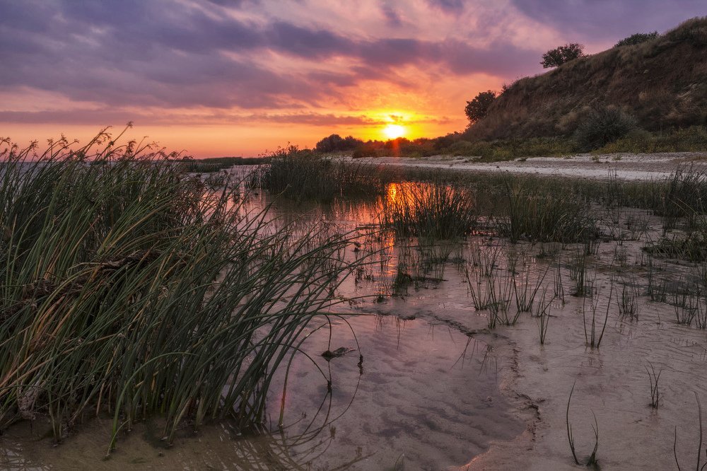 Photograph by Марина Кожевникова