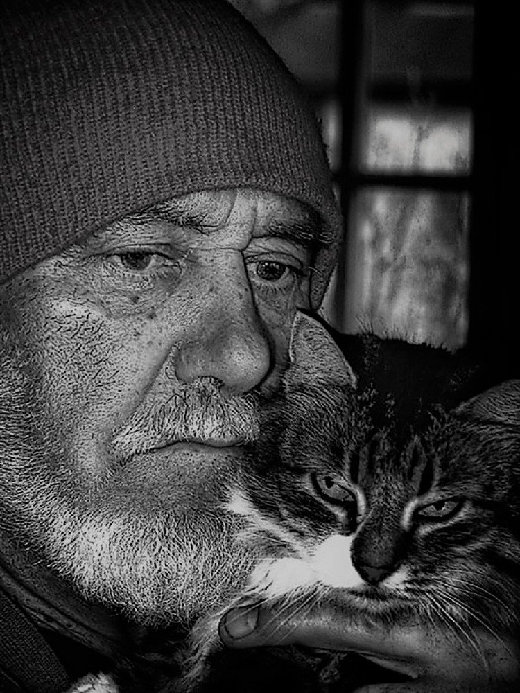 Старик и его кошка
