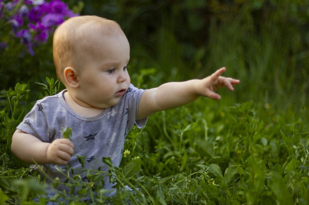 Каждая травинка - целый мир!