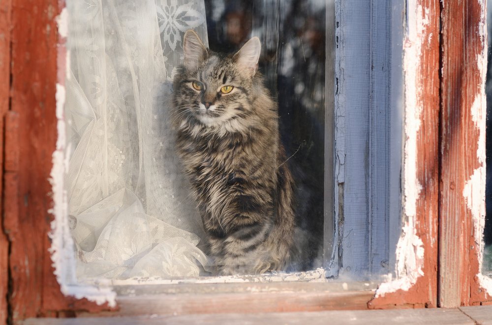 Photograph by Анна Айбетова