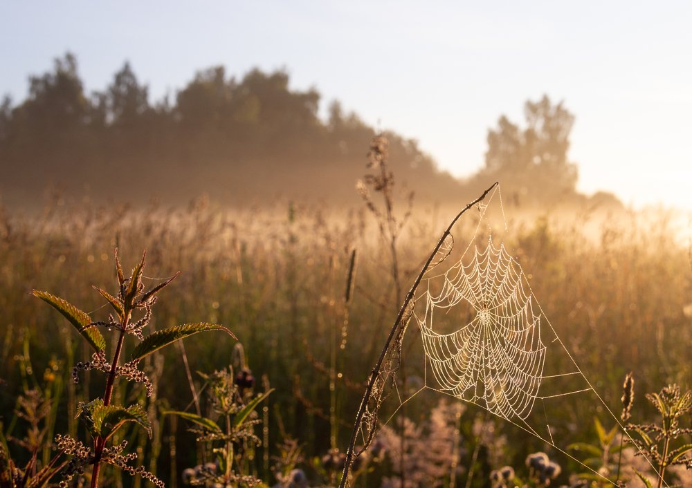 Photograph by Ксения Рыбка