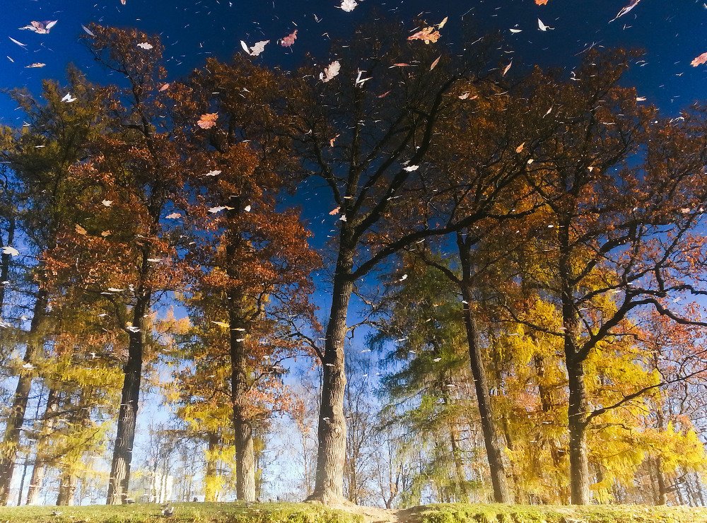 Осень в Царском Селе