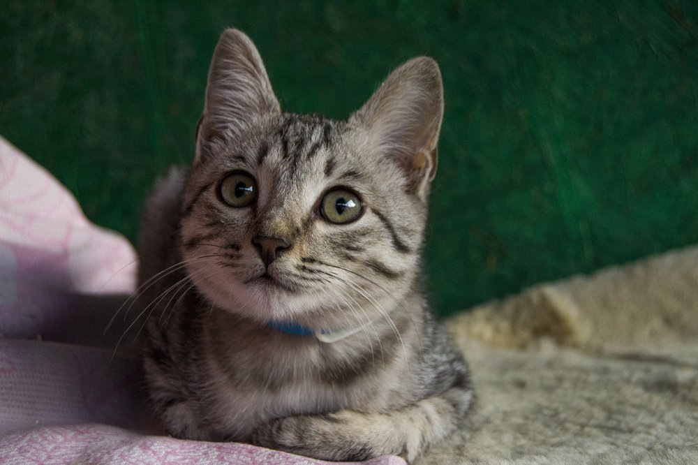 Photograph by Мария Коробова