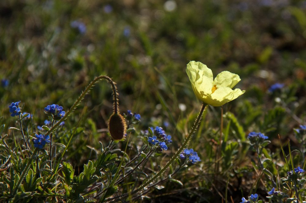Photograph by Алёна Гильмуллина