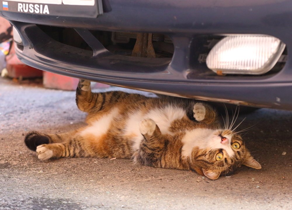 Автомеханик