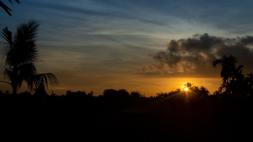 The Beauty of Nature