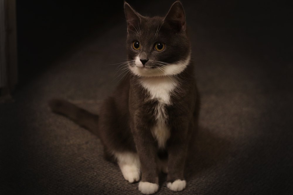 Маленькая очаровашка