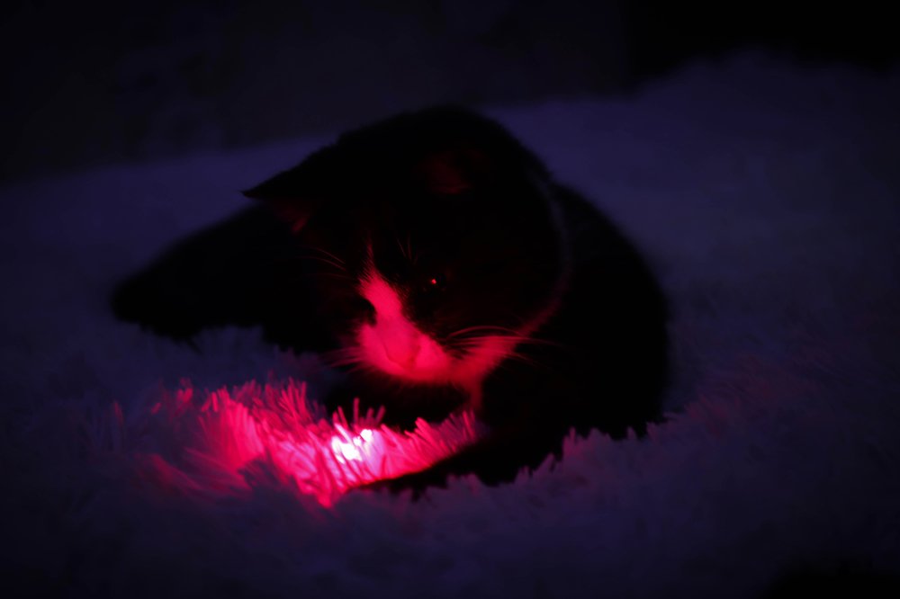 Волшебный свет