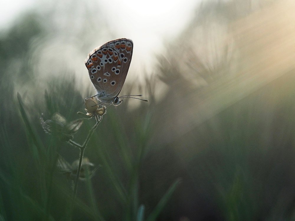 Провожая день