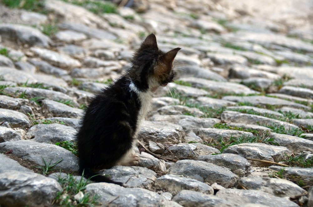 Мир большой, а я маленький